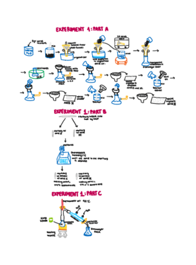 Miniatura del documento scheme-exp-1-experimentacion.pdf