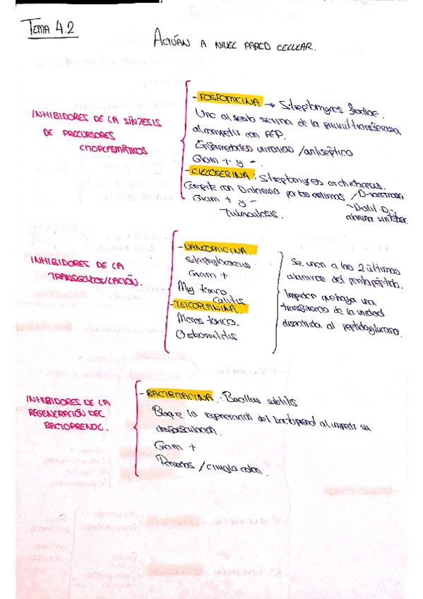 Miniatura del documento Esquema-Antibioticos-tema-4.pdf