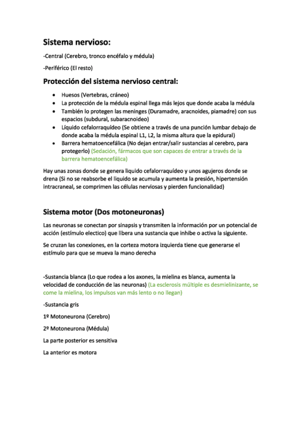 Miniatura del documento Sistema-Nervioso.pdf