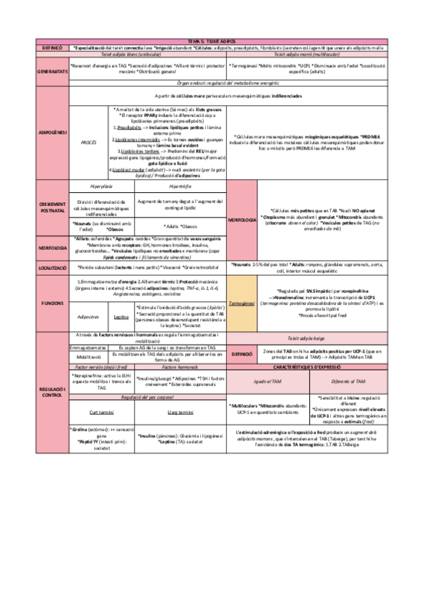 Miniatura del documento Teixit-adipos-Resum.pdf