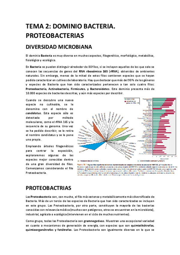 Miniatura del documento TEMA-2-parte-1.-RESUMEN-DEL-BROCK.pdf