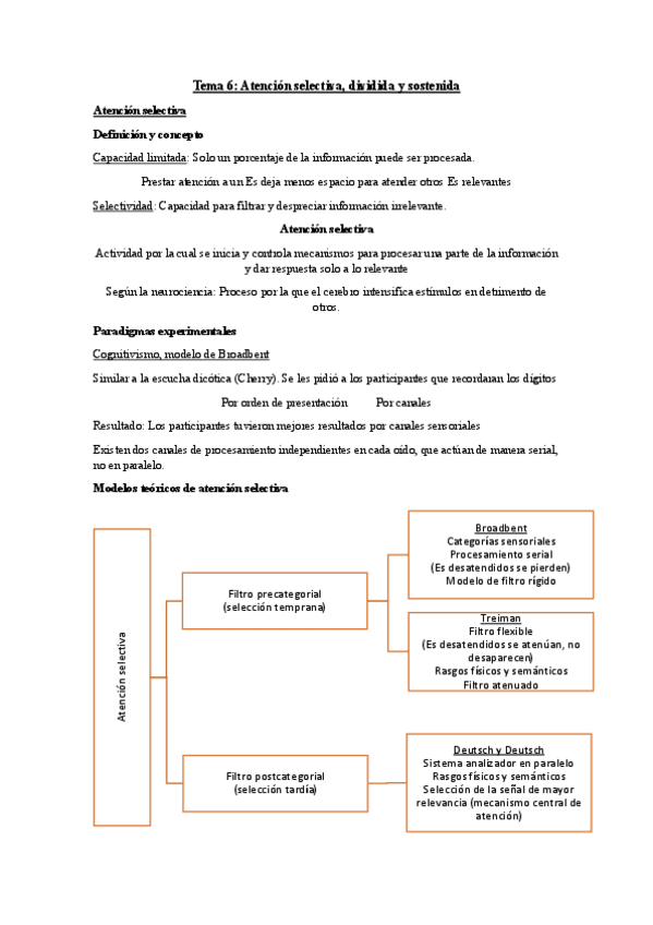 Miniatura del documento T.6-Atencion-y-Funciones-ejecutivas.pdf