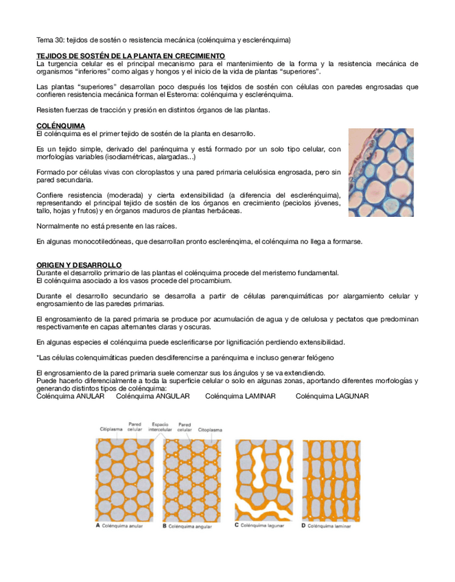 Miniatura del documento Tema-30.pdf