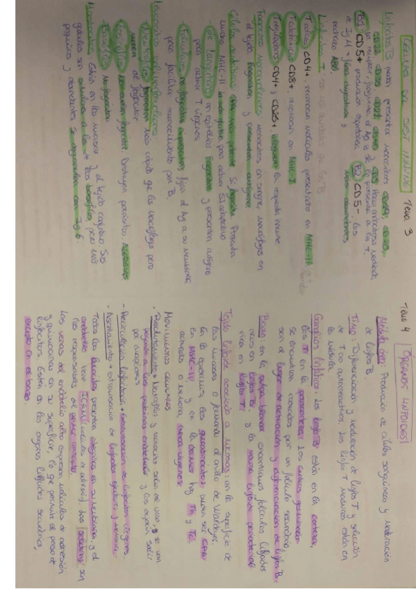 Miniatura del documento apuntes-INMUNO.pdf