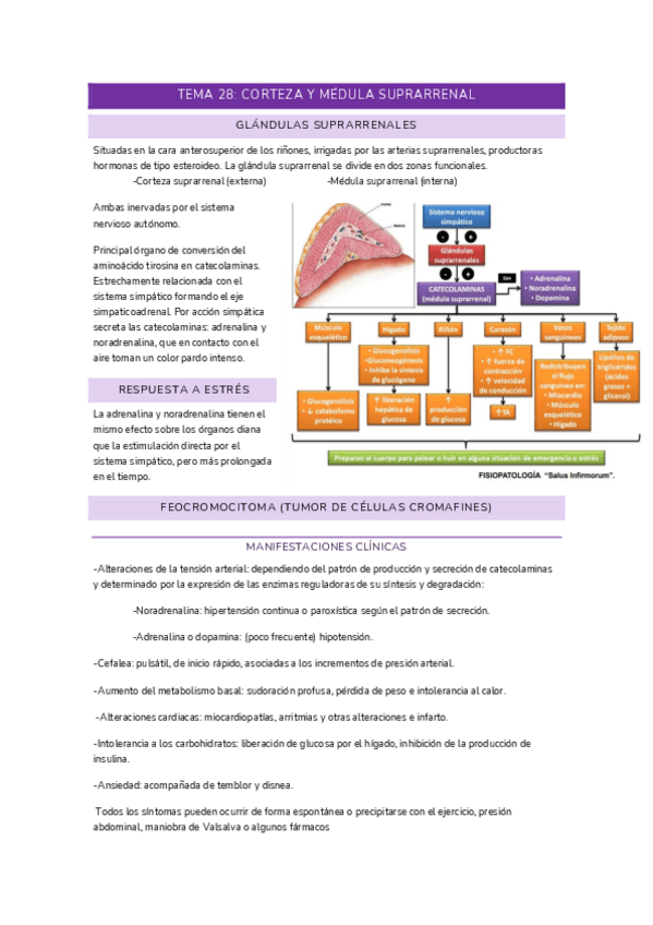 Miniatura del documento T28-FISIO.pdf