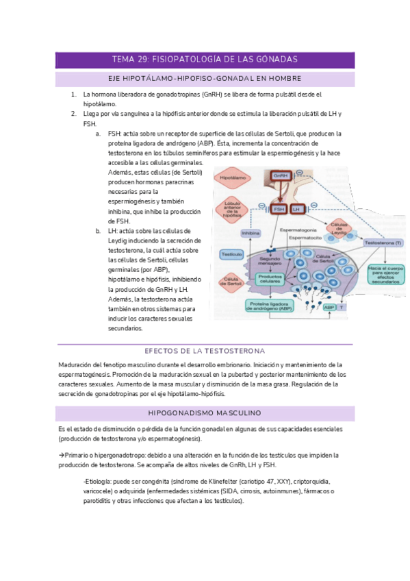 Miniatura del documento T29-FISIO.pdf