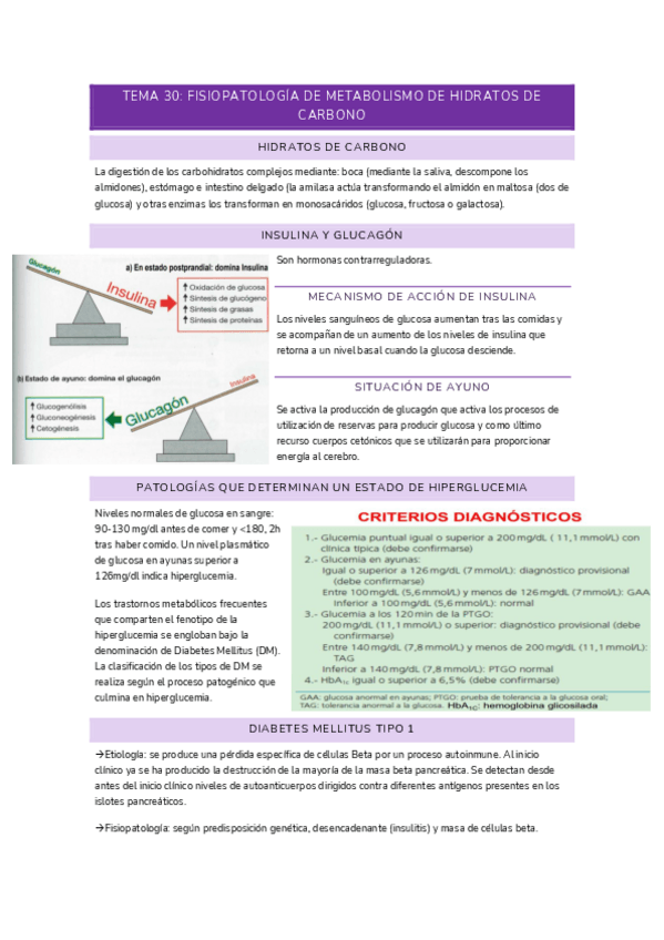 Miniatura del documento T30-FISIO.pdf