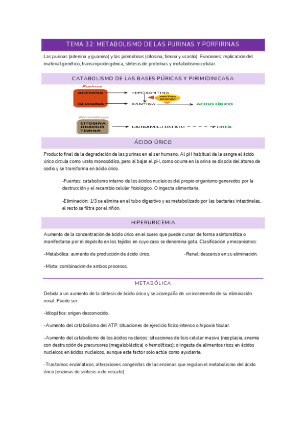 Miniatura del documento T32-FISIO.pdf