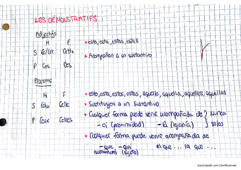 Miniatura del documento Apuntes-Frances.pdf