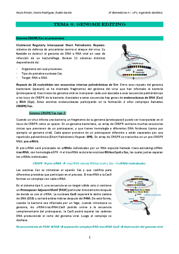 Miniatura del documento Tema-6-ingenieria-genetica.pdf