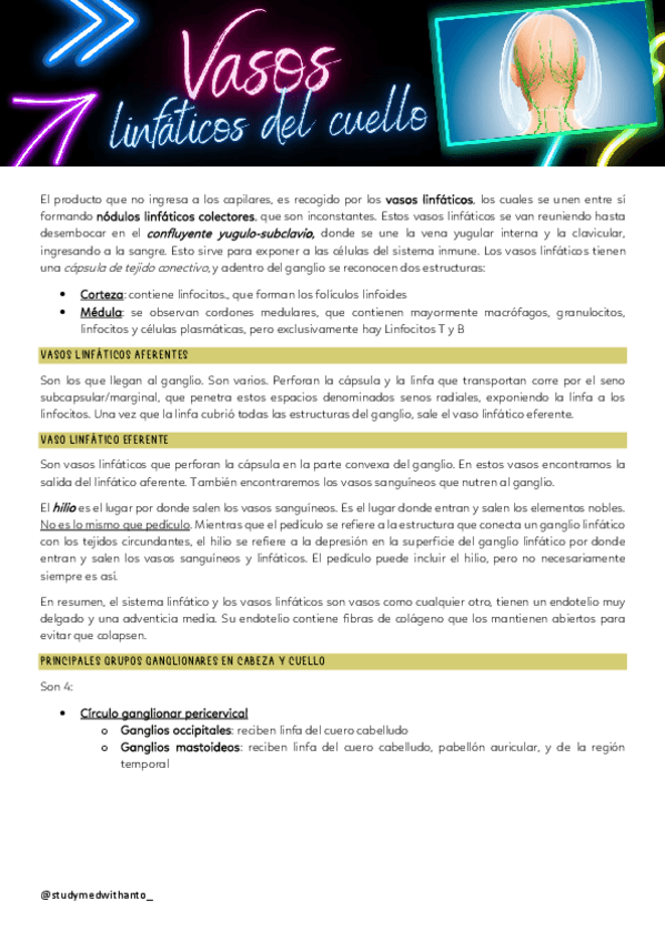 Miniatura del documento vasos-linfaticos-y-sanguineos-cabeza-y-cuello.pdf