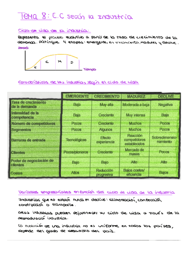 Miniatura del documento Tema-8E.C-segun-la-Industria.pdf