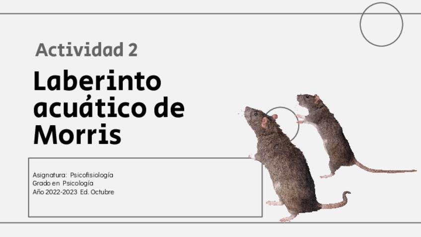 Miniatura del documento Actividad-2-Laberinto-acuatico-de-Morris.pptx.pdf