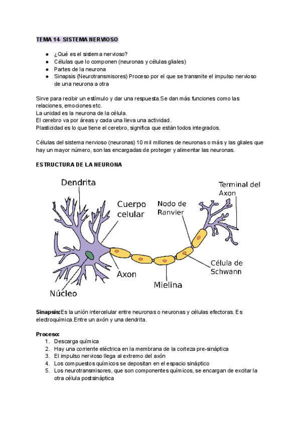 Miniatura del documento TEMA-14.pdf