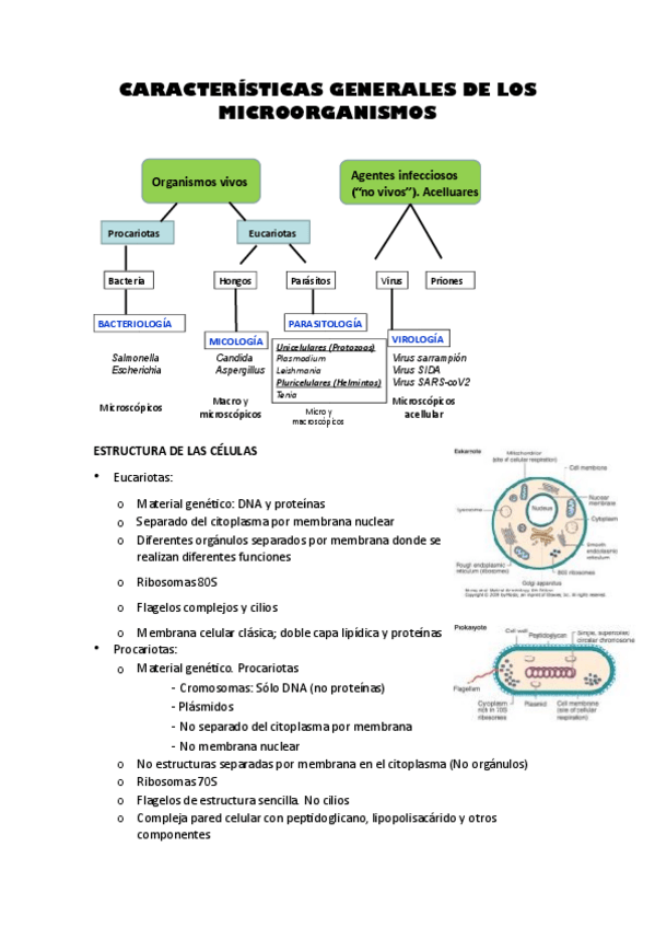Miniatura del documento micro-parte-1.pdf