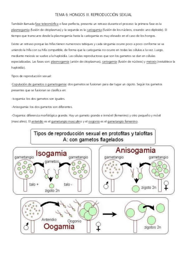Miniatura del documento Tema6.pdf