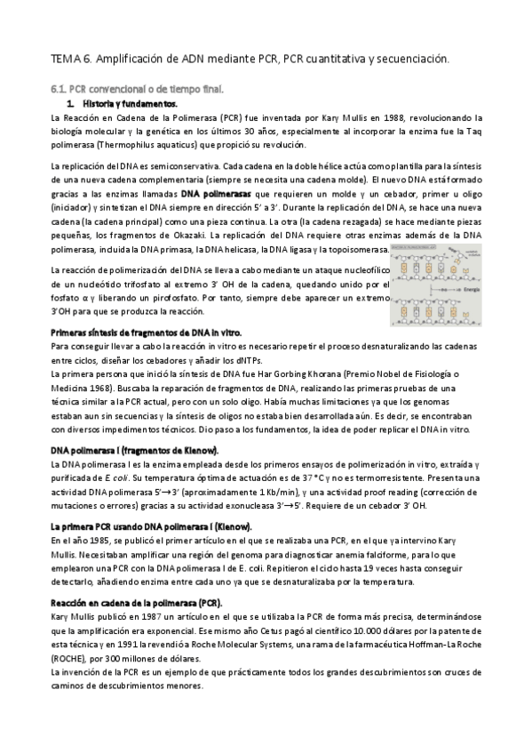 Miniatura del documento TEMA-6.-Amplificacion-de-ADN-mediante-PCR-PCR-cuantitativa-y-secuenciacion.pdf