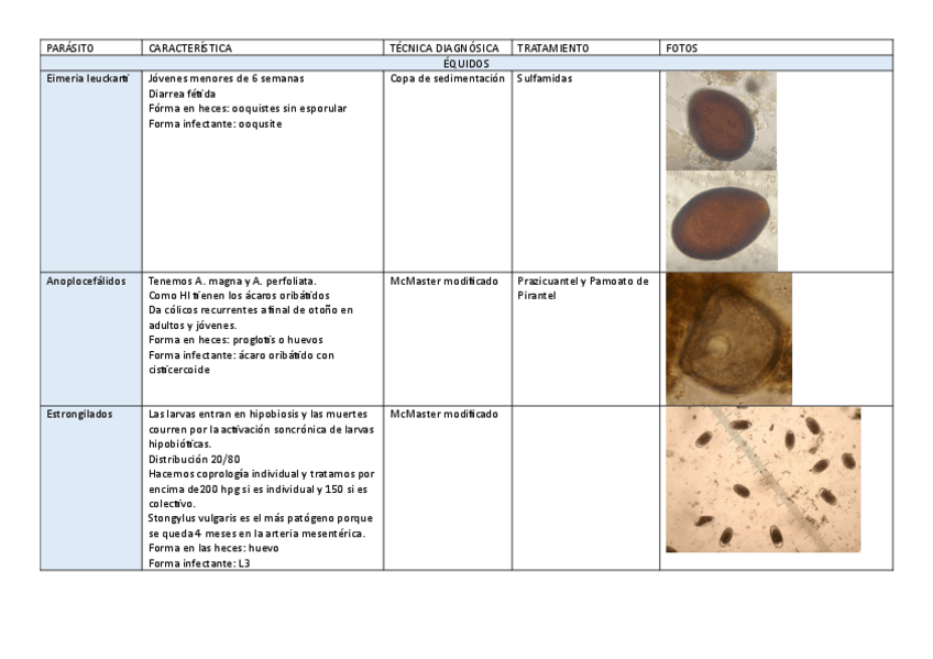 Miniatura del documento RESUMEN-PRACTICAS.pdf