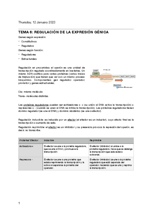 Miniatura del documento resumen-genetica-y-ejercicios.pdf