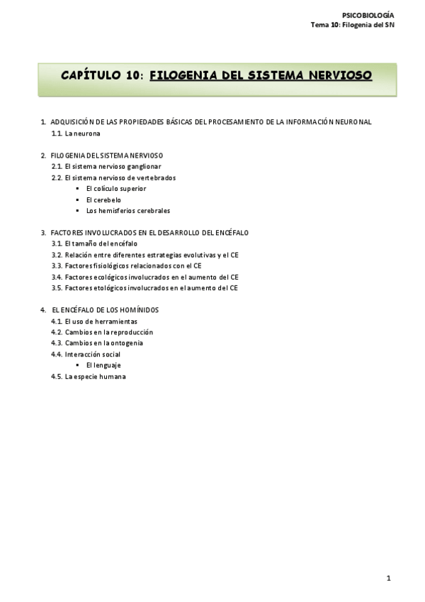 Miniatura del documento Tema 10 - Filogenia del Sistema Nervioso.pdf
