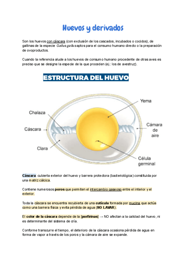 Miniatura del documento 7.-Huevos-y-derivados.pdf