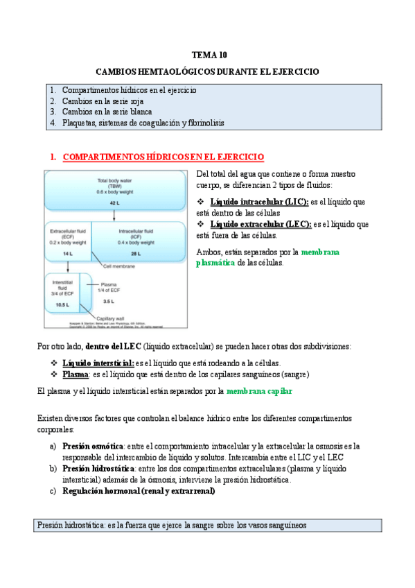 Miniatura del documento TEMA-10-CAMBIOS-HEMATOLOGICOS-DURANTE-EL-EJERCICIO.pdf