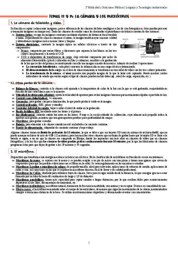 Miniatura del documento Temas-13-y-14.-Lenguaje-y-Tecnologias-Audiovisuales.pdf