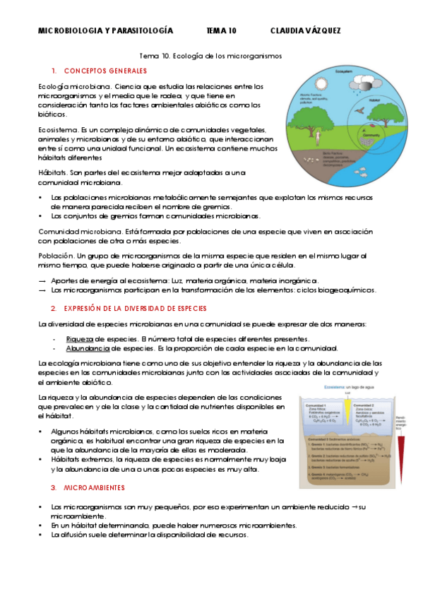 Miniatura del documento Tema-10.pdf