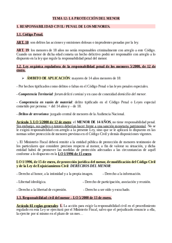 Miniatura del documento Tema-12-La-proteccion-del-menor.pdf