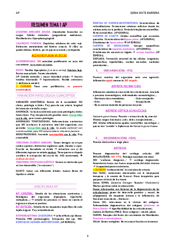 Miniatura del documento RESUMEN-TEMA-1-AP.pdf