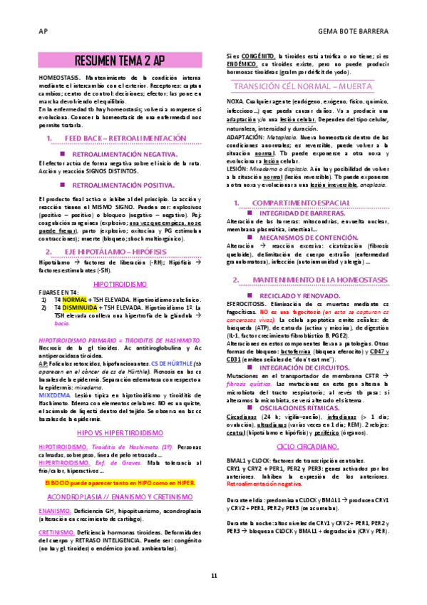 Miniatura del documento RESUMEN-TEMA-2-AP.pdf