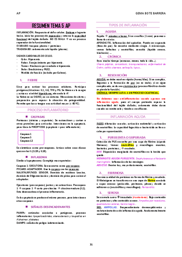 Miniatura del documento RESUMEN-TEMA-5-AP.pdf