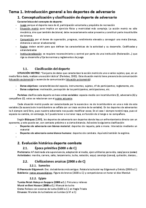 Miniatura del documento T1.-AdversarioCombate.pdf