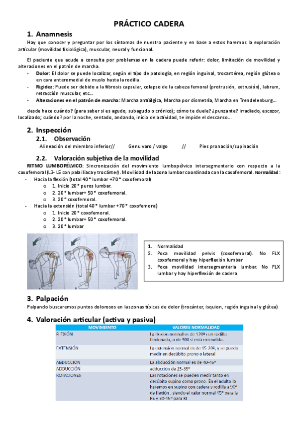Miniatura del documento Practica-Cadera.pdf