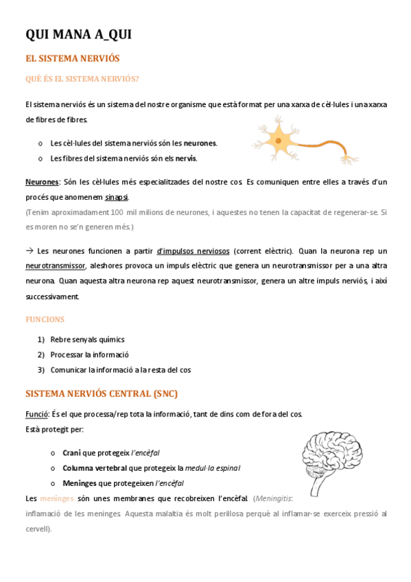 Miniatura del documento El-sistema-nervios.pdf