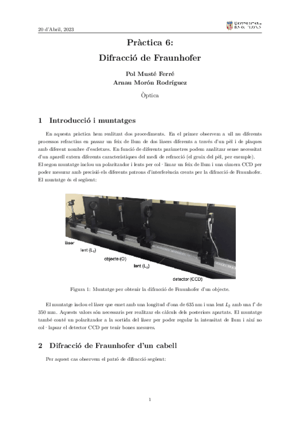 Miniatura del documento Practica 6 Difraccio de Fraunhoufer.pdf