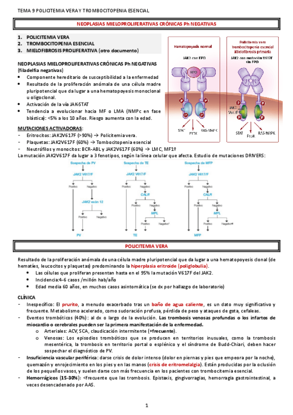 Miniatura del documento POLICITEMIA-VERA-Y-TROMBOCITEMIA-ESENCIAL.pdf