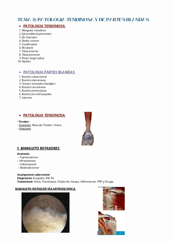 Miniatura del documento TEMA-2-AFECCIONES.pdf