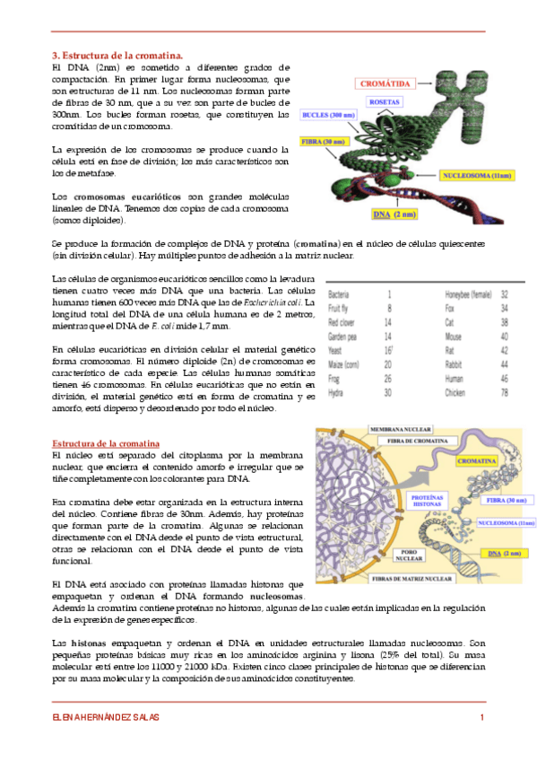 Miniatura del documento 3. Estructura de la cromatina.pdf