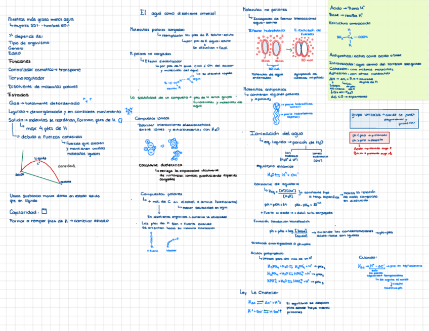 Miniatura del documento Bioquimica.pdf
