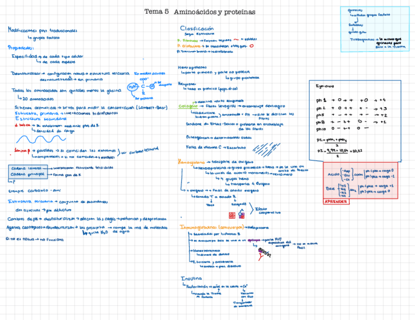 Miniatura del documento Aminoacidos.pdf
