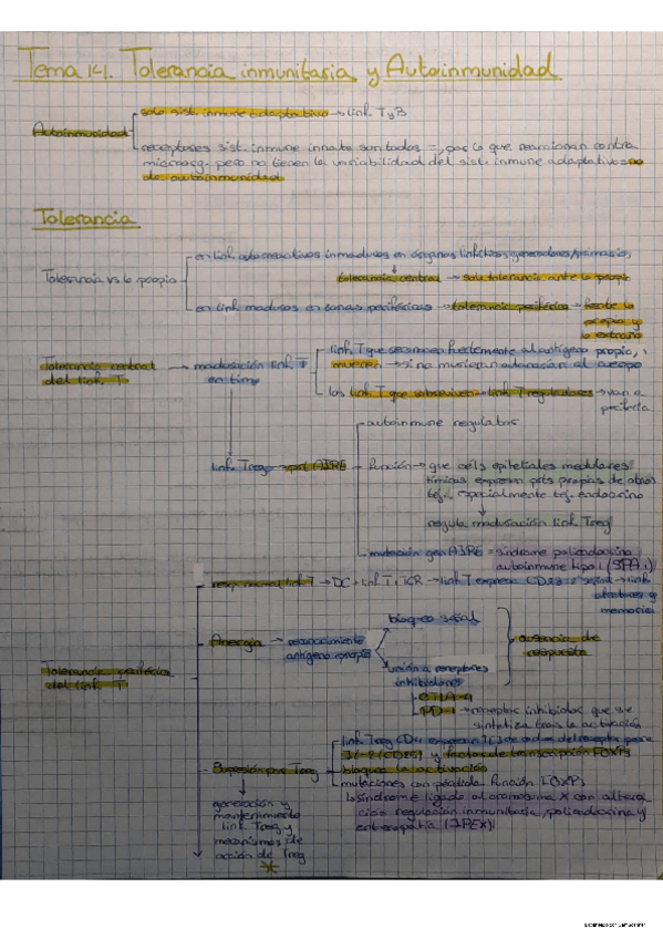 Miniatura del documento Tema 14 Inmuno.pdf