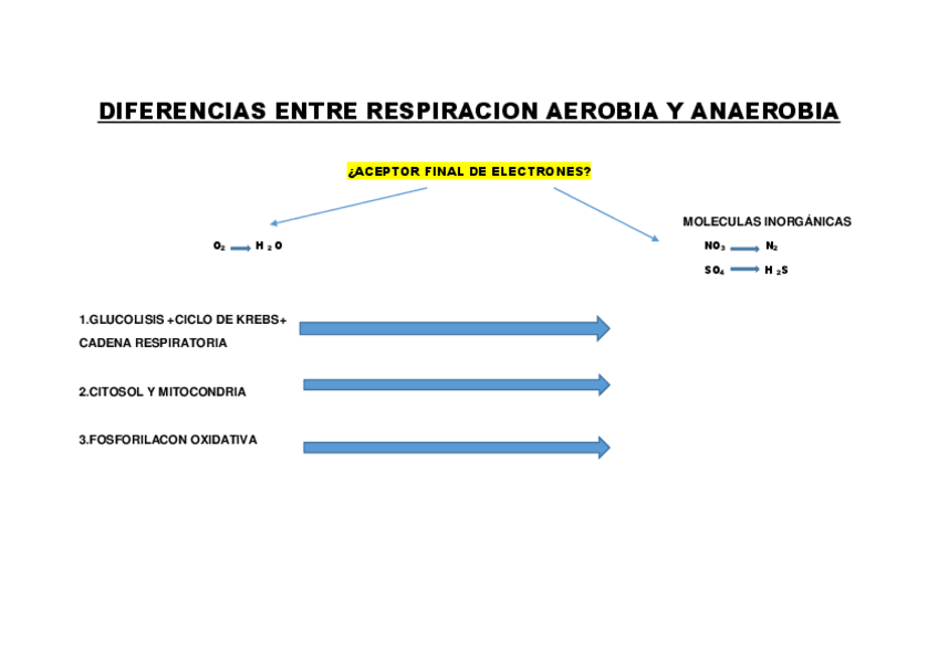 Miniatura del documento Diferencia-entre-respiracion-aerobia-y-anaerobia.pdf