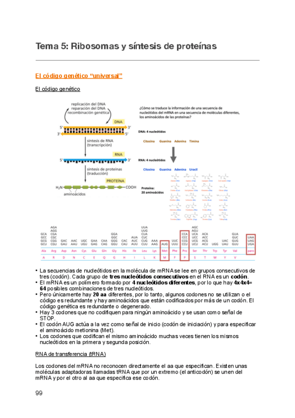 Miniatura del documento Citologia-e-Histologia-Temas-5-8.pdf