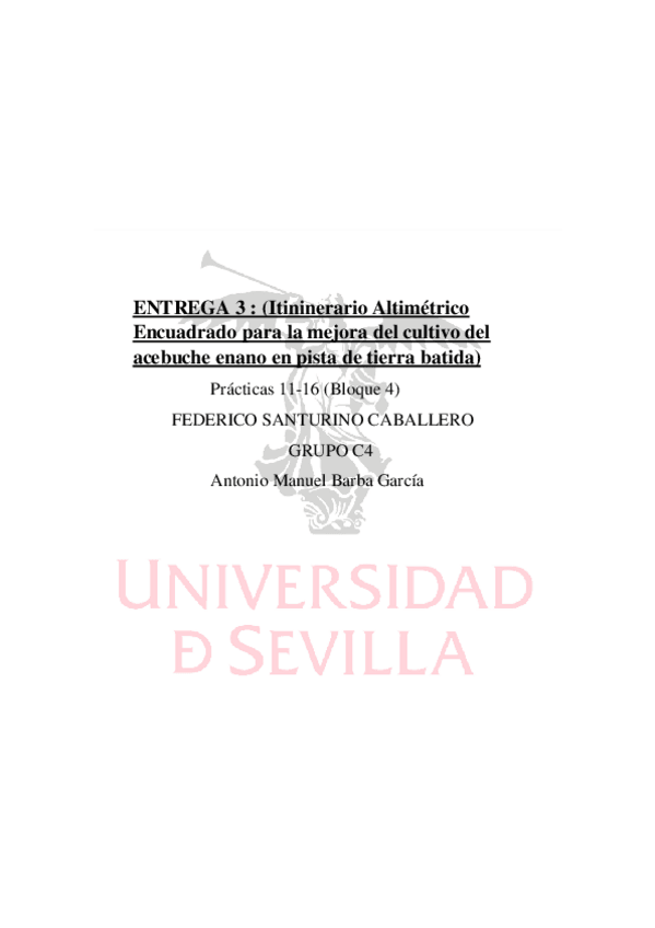 Miniatura del documento ENTREGA-3.pdf