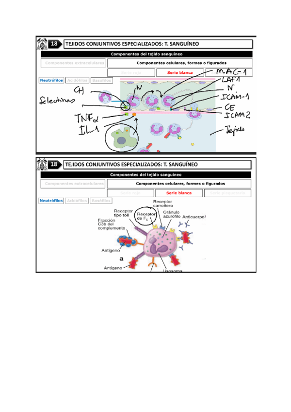 Miniatura del documento imagenes-gragera.pdf