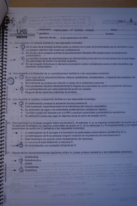 Miniatura del documento DSC06182.JPG