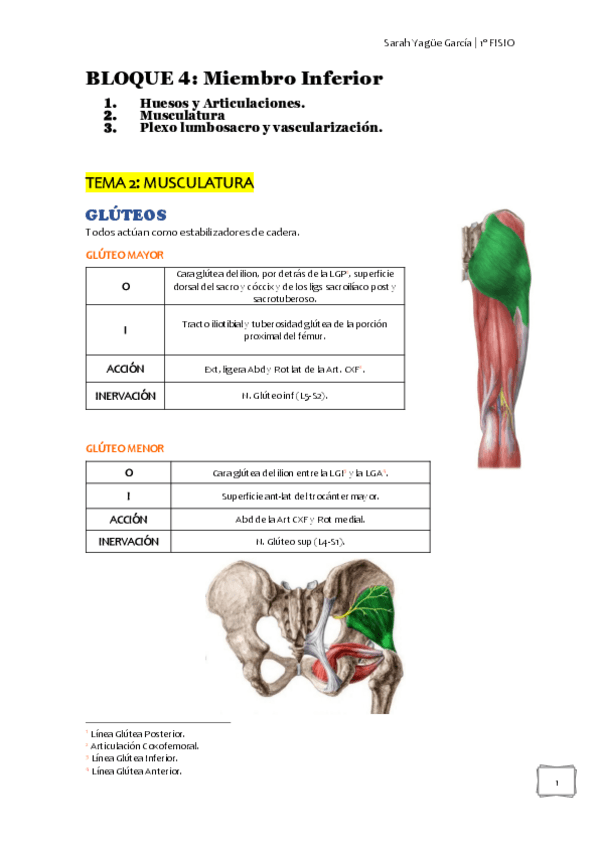 Miniatura del documento BLOQUE-5-musculatura-de-MMII.pdf