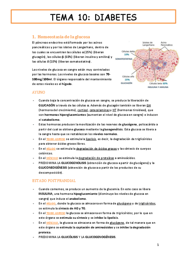 Miniatura del documento tema-10-fisiologia-DIABETES.pdf