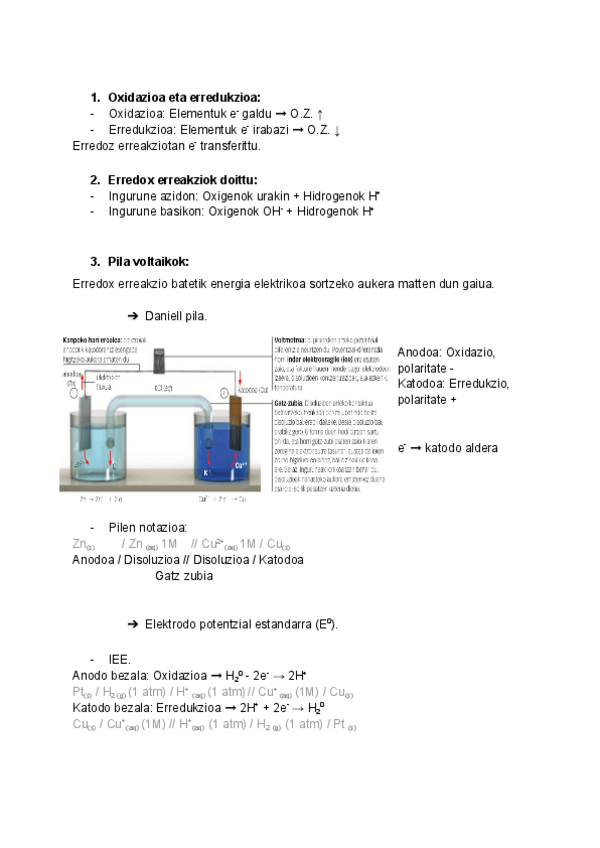 Miniatura del documento Erredox-erreakzioak.pdf